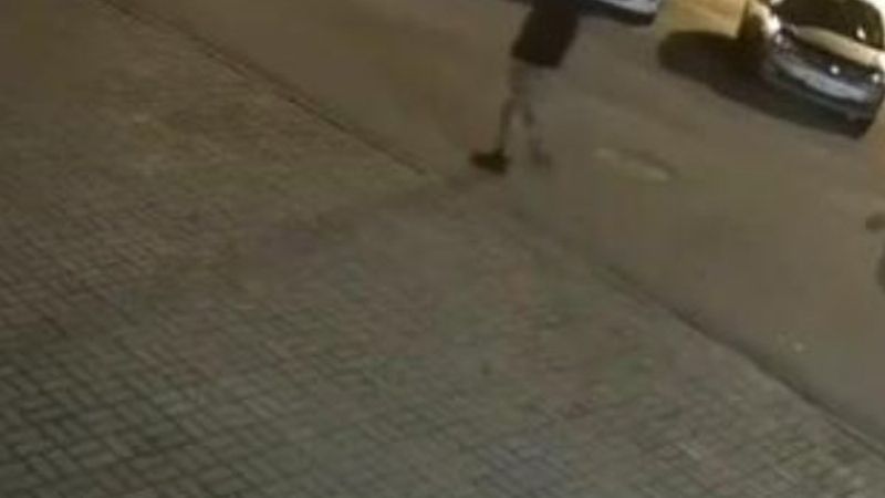 Rusya'da şehre inen ayı adama saldırdı