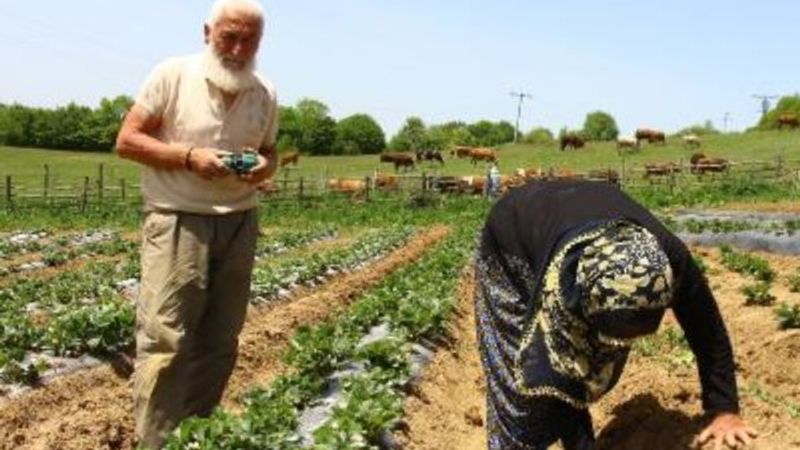 Emekli öğretmen çiftin toprak aşkı