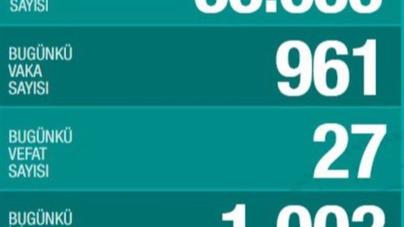 Türkiye'deki koronavirüs tablosunda son durum