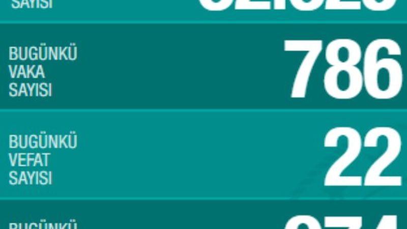 Türkiye'de koronavirüs bilançosu