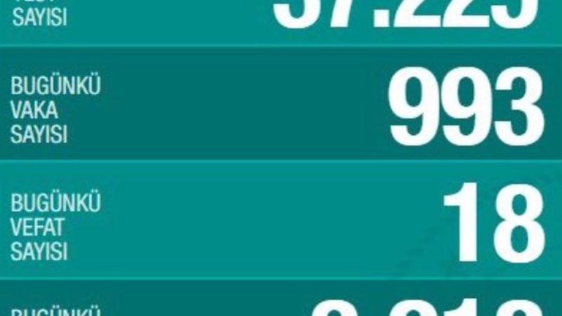 Koronavirüs salgınında son durum