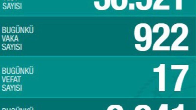 Korona salgınında 1 aylık değişim