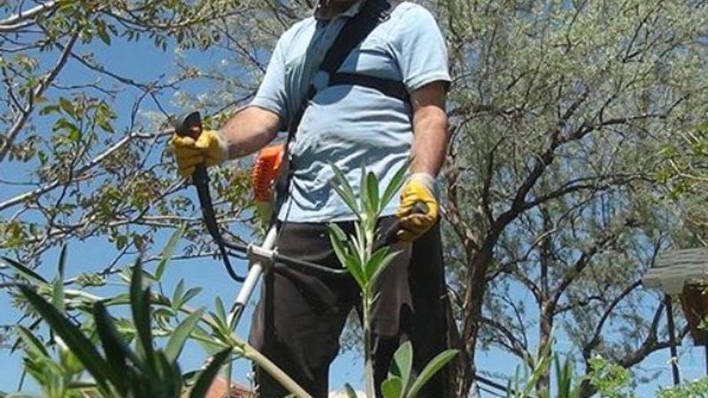 Çiftçilere 780 milyon lira hasar tazminatı ödenecek