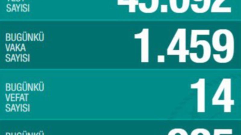 Türkiye'deki koronavirüs vakalarında son durum