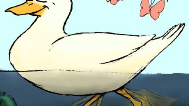 Stanford Ördek sendromu nedir