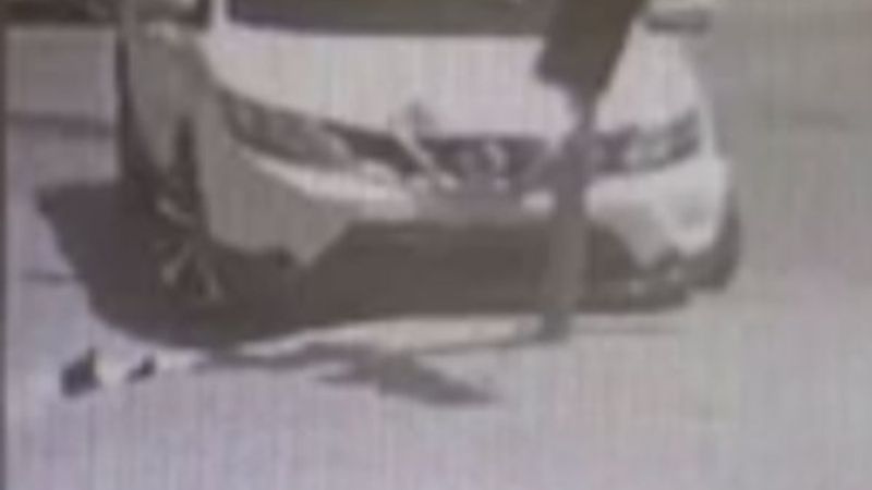 Antalya'da ışık ihlali yaptı, trafik lambasına çarptı