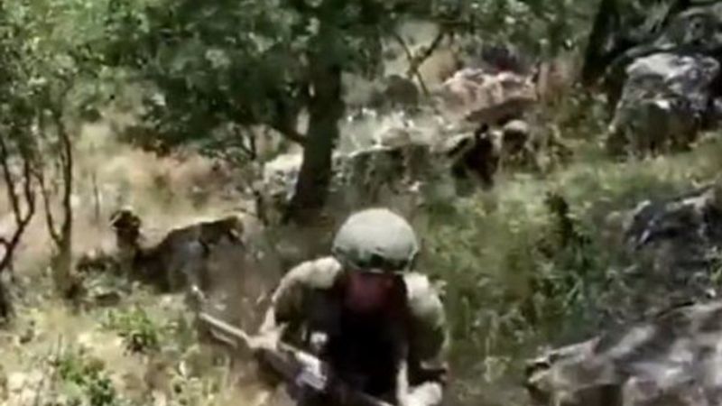 Pençe-Kaplan Operasyonu'nda 4 terörist öldürüldü