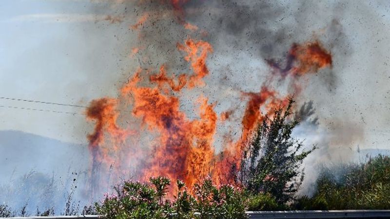 Söke’deki sazlık alanda yangın çıktı