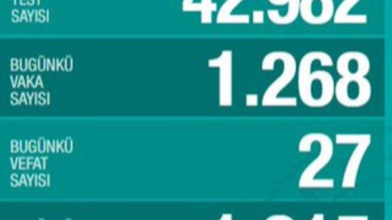 Türkiye'de koronavirüs salgınında son durum
