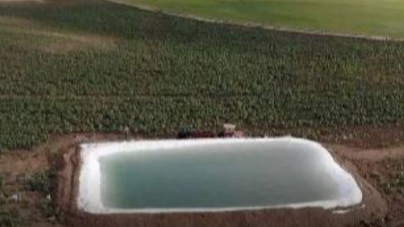 Kırıkkale'de sulama için yaptıkları havuzda yüzüyorlar