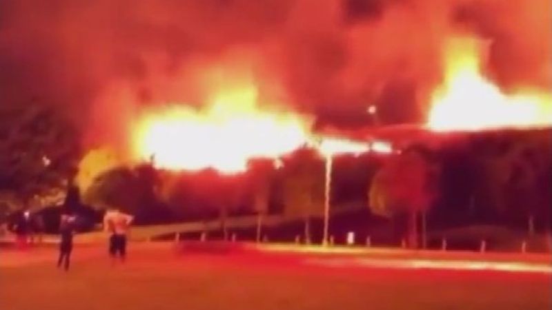 İzmir'de otluk alanda çıkan yangın paniğe yol açtı