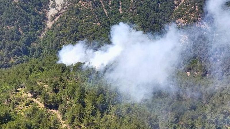 Hatay'da orman yangını çıktı