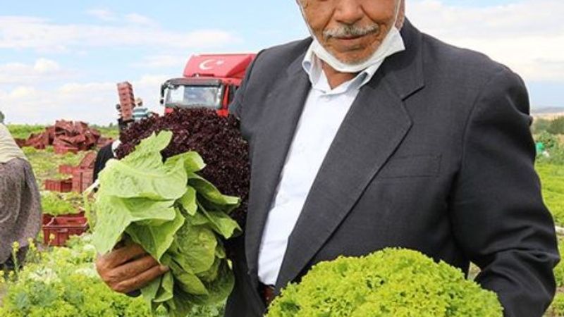 Ankara'da 74 yaşındaki adam, çalışma azmiyle örnek oluyor