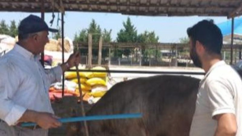 Bursa'da sosyal mesafeli hayvan pazarlığı