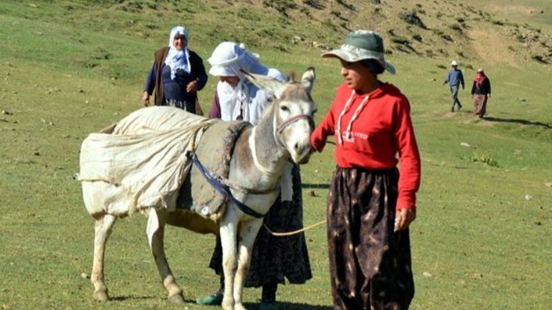 Muşlu kadınlar, yaylalarda ek gelir için çalışıyor