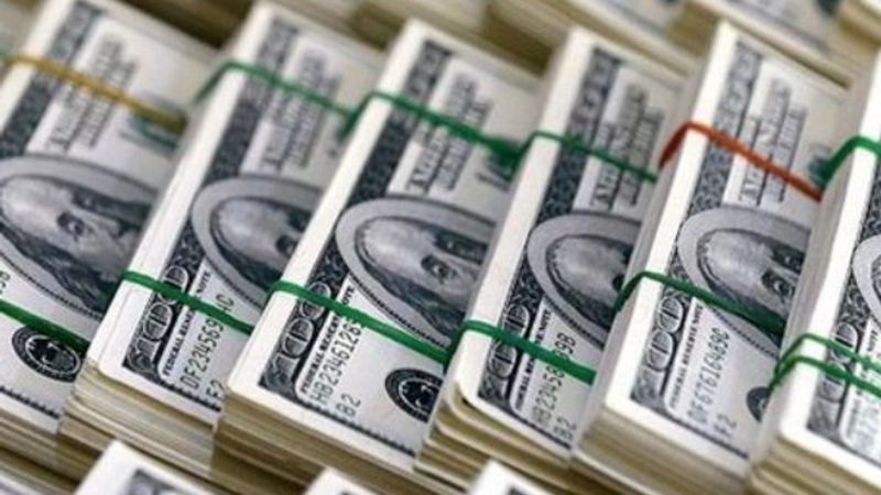 Merkez Bankası rezervleri 90 milyar 238 milyon dolar oldu