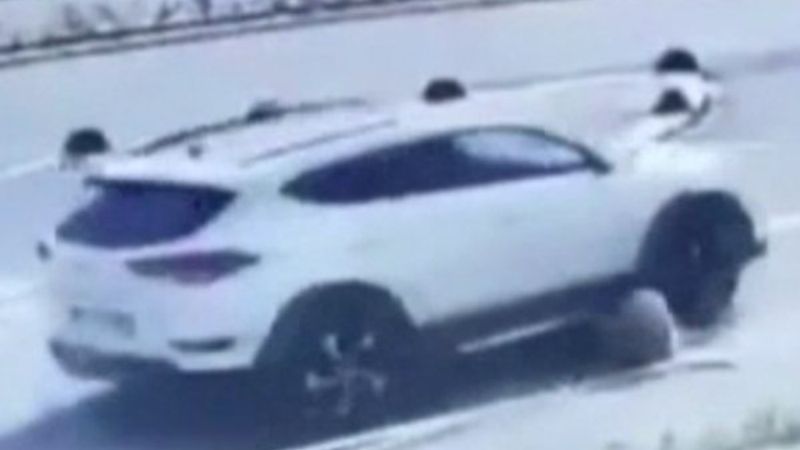 Maltepe'de bir şahıs köpeğin üzerinden aracıyla geçti