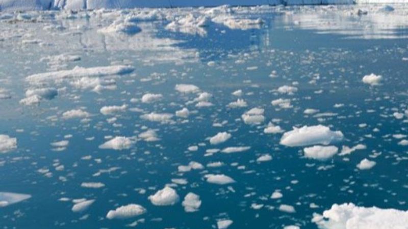 Küresel ısınma, ölümcül hastalıkları geri getirebilir