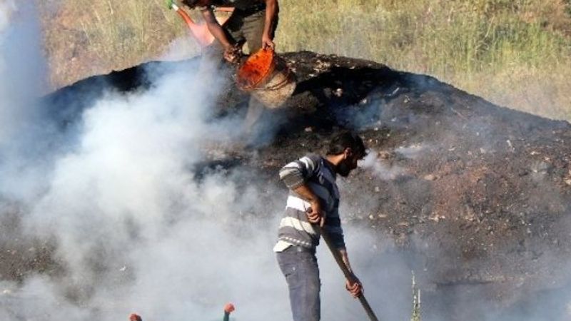 Erzincan'da işçilerin zorlu mangal kömürü yapımı
