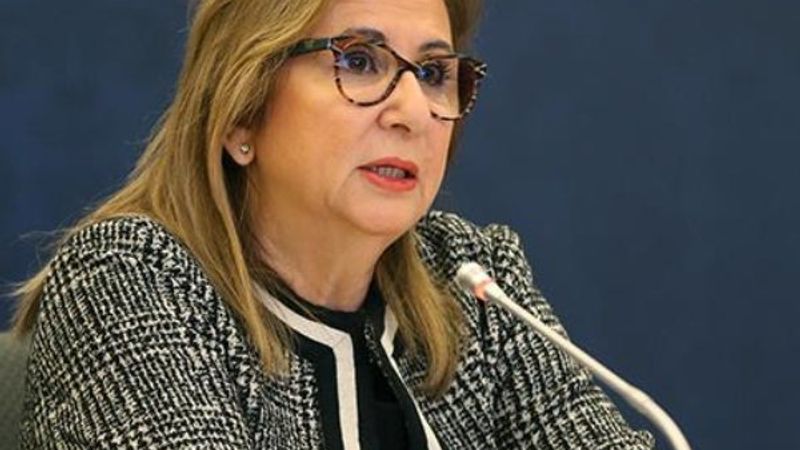 İngiltere İhracat Kredi Kuruluşuna garanti desteği