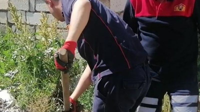 Ağrı'da kuyuya düşen köpek kurtarıldı