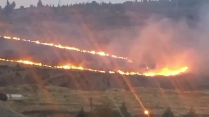 İzmir'de bir ormanda yangın çıktı