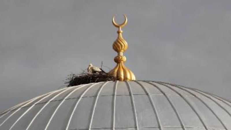 Bayburt’ta 18 yıldır yuvasından ayrılmayan vefalı leylek