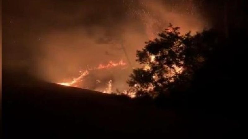 Sarıyer'de orman yangını çıktı