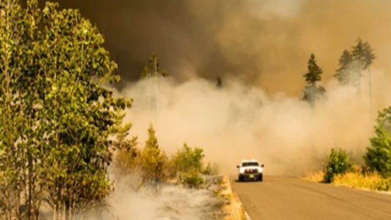 Karbondioksit seviyesi, 15 milyon yıl öncesine yaklaşıyor