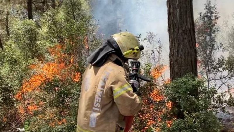 Sarıyer'de ormanlık alanda yangın çıktı
