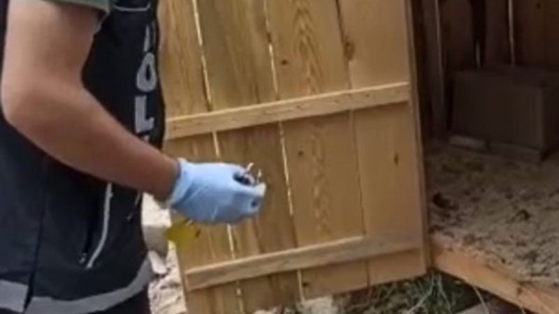 Elazığ’da tavuk kümesinden uyuşturucu çıktı