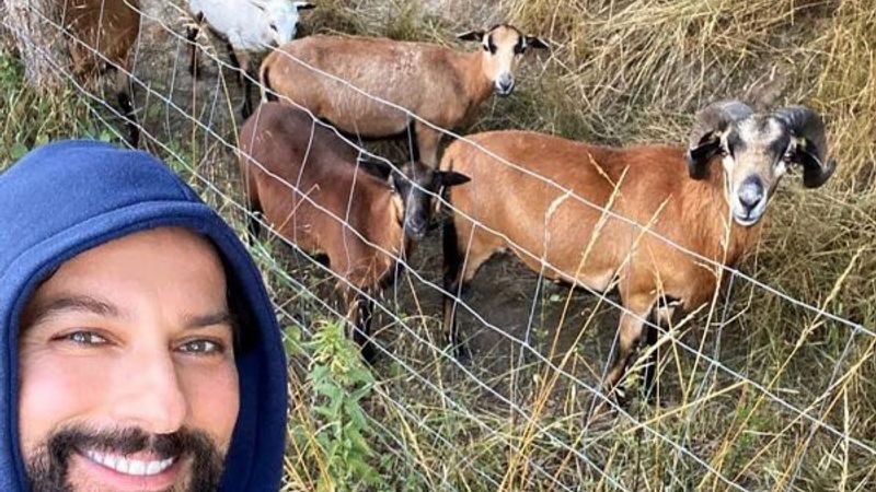 Tarkan, hayvanlarla selfie yaptı