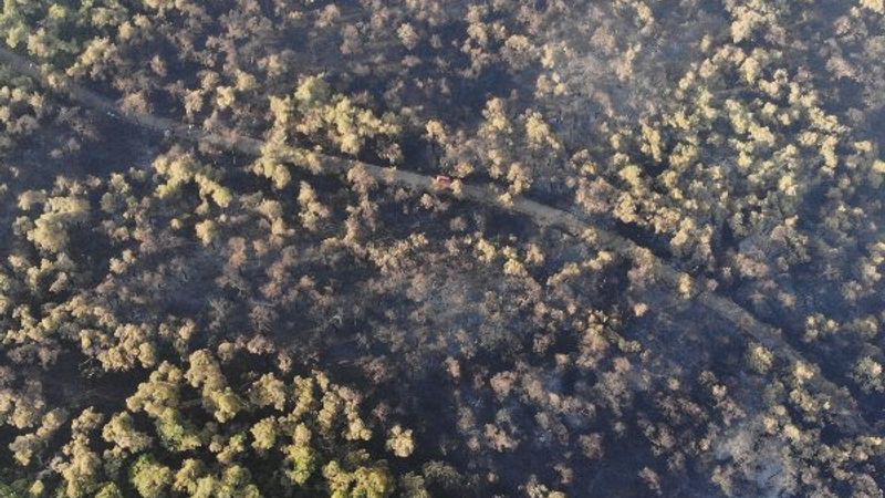 Heybeliada soruşturmasında 1 kişi tutuklandı