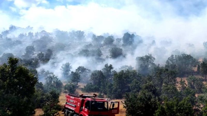 Adıyaman'da çıkan örtü yangını ormana sıçradı