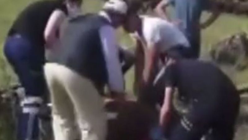 Kars'ta kurbanlık taşıyan tır devrildi