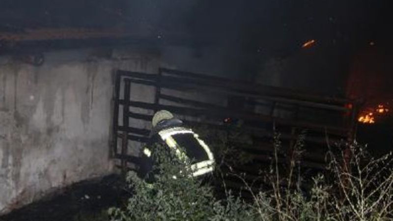 Manisa'da bir çiftlikte yangın çıktı