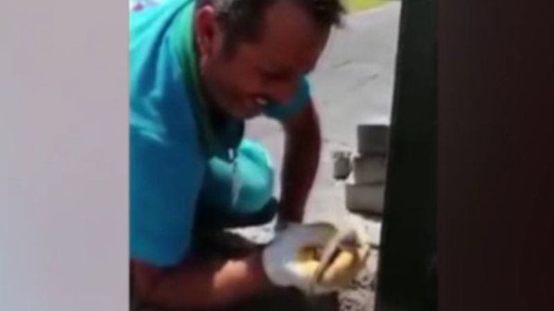 Kayseri'de belediye personeli minik serçeyi kurtardı