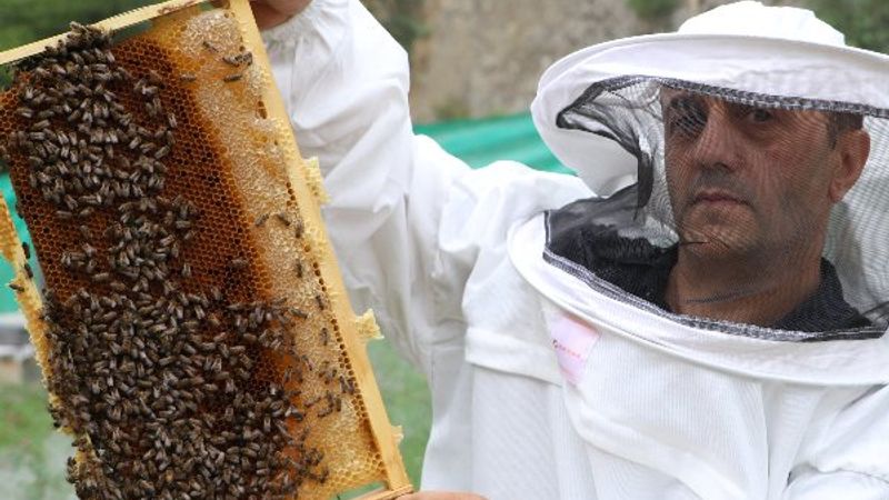 Anzer balı fiyatında bu yıl artış olmayacak