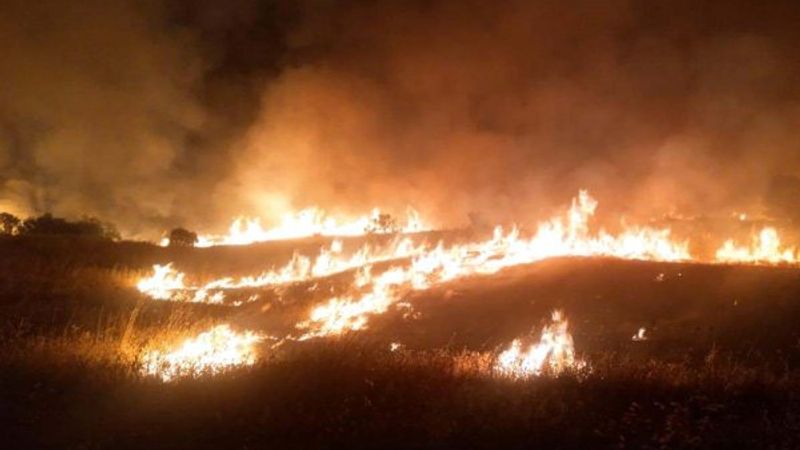 Elazığ'da ormanlık alanda yangın