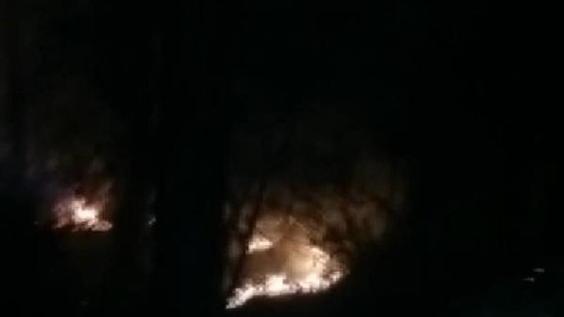 Sarıyer'deki Belgrad ormanında yangın çıktı