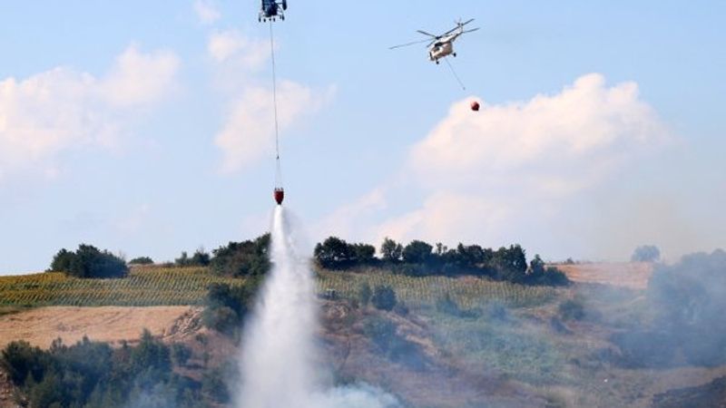 Çanakkale'de orman yangını kontrol altına alındı