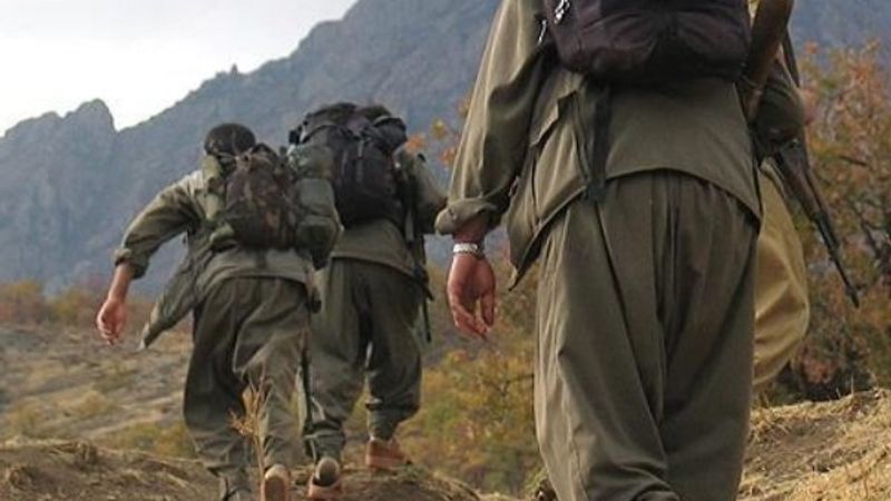 Şanlıurfa'da 2 terörist ikna yoluyla teslim oldu