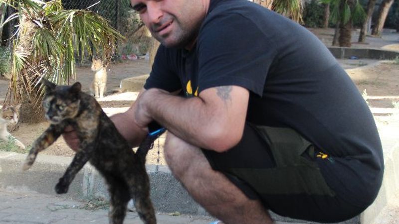 İzmir'de motosikletli, kediyi ezmemek için kaza yaptı