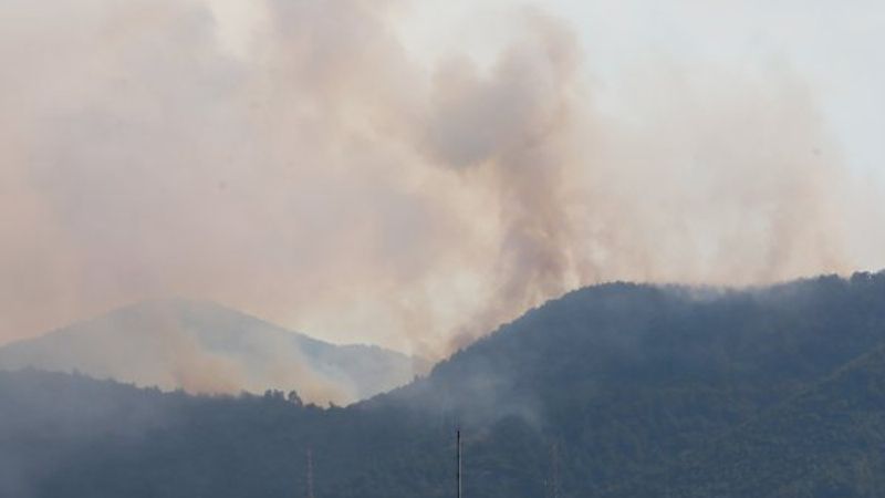 İzmir Balçova'da orman yangını
