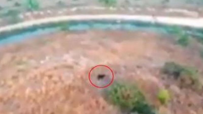 Antalya'da kaybolan keçi, drone ile bulundu