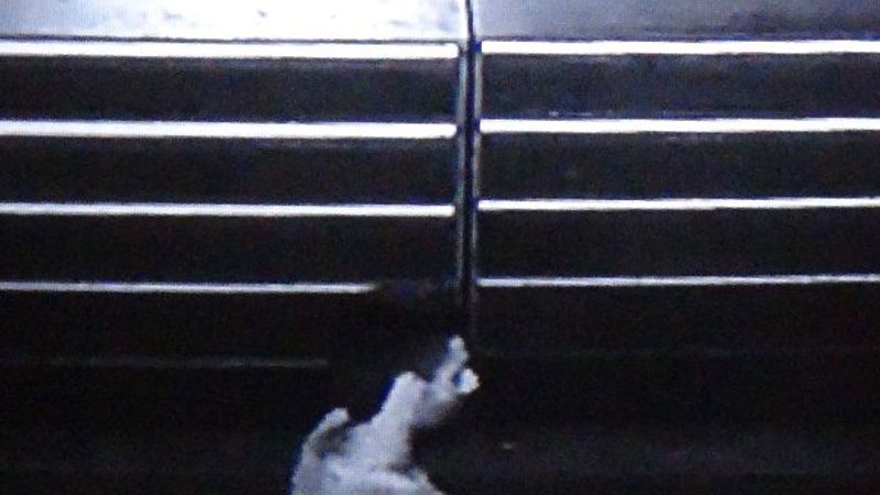 Gaziantep'te, camide uyuyan adamın parası çalındı