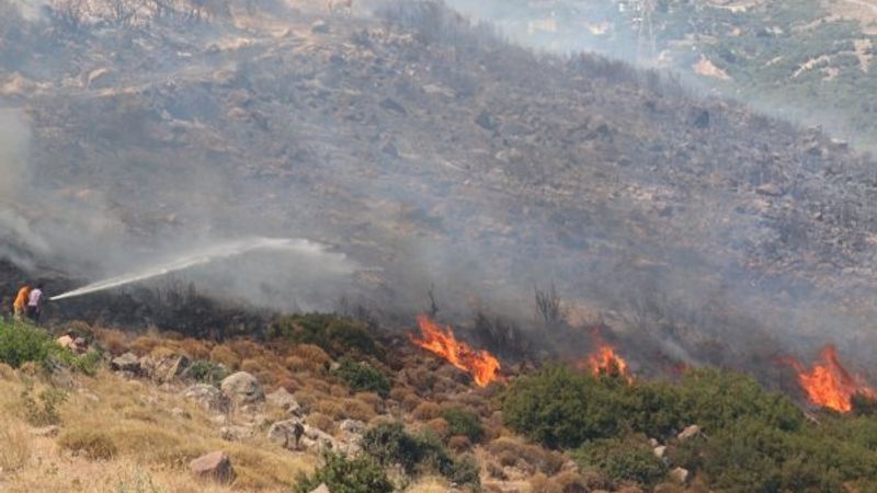 İzmir'de iki bölgede orman yangını