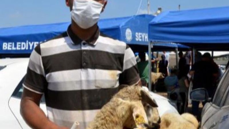 Adana'da besici, piyasa düşünce kurbanlıkları satamadı