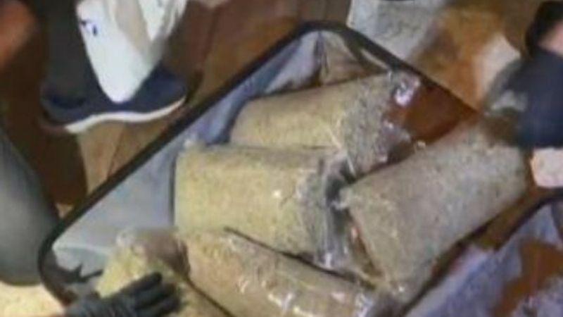 Bursa'da 7 kilo bonzai ele geçirildi