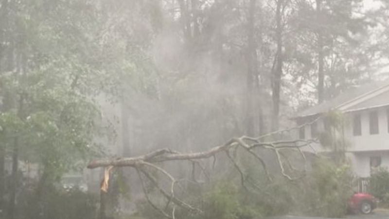 ABD'de çıkan kasırgada 2 kişi hayatını kaybetti